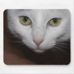 Mooie witte kat muismat