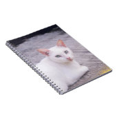 Mooie Witte Kat Notitieboek (Rechterzijde)