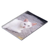 Mooie Witte Kat Notitieboek (Linkerzijde)