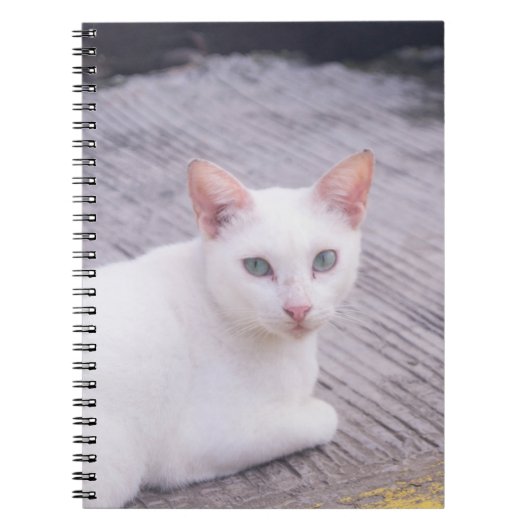 Mooie Witte Kat Notitieboek (Voorkant)