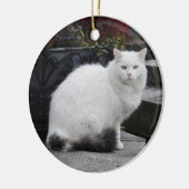 Mooie witte kat op een grave keramisch ornament (Links)