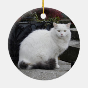 Mooie witte kat op een grave keramisch ornament