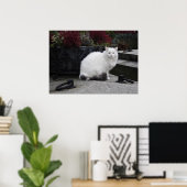 Mooie witte kat op een grave poster (Thuiskantoor)