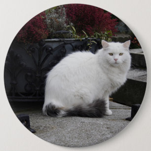 Mooie witte kat op een grave ronde button 6,0 cm