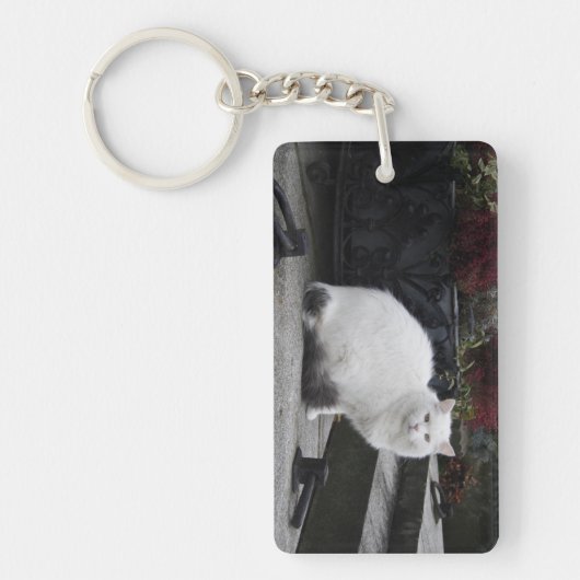 Mooie witte kat op een grave sleutelhanger (Voorkant)