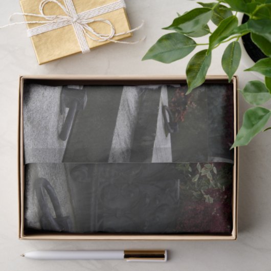 Mooie witte kat op een grave tissuepapier (Geschenk)