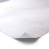 Mooie witte kat poster (Hoek)