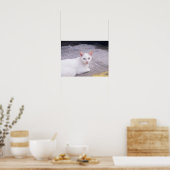 Mooie witte kat poster (Keuken)