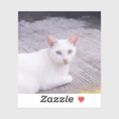 Mooie witte kat sticker (Vel)