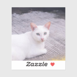 Mooie witte kat sticker