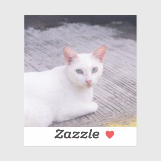 Mooie witte kat sticker (Vel)