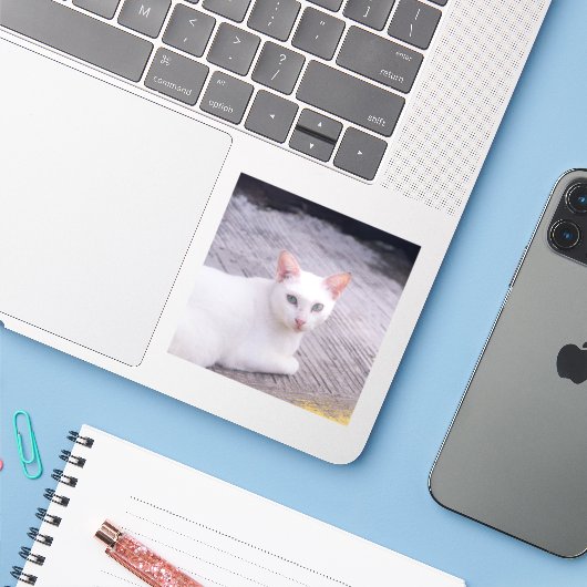 Mooie witte kat sticker (Laptop met iPhone)