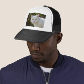 Mooie witte kat trucker pet (In situ)