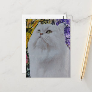 Mooie witte kat tussen bloemen collage briefkaart