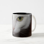 Mooie witte kat tweekleurige koffiemok (Voorkant rechts)