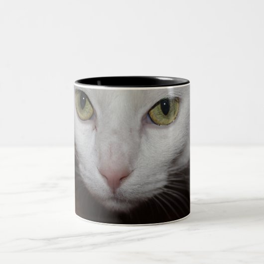 Mooie witte kat tweekleurige koffiemok (Center)