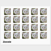 Mooie witte kat vierkante sticker (Vel)