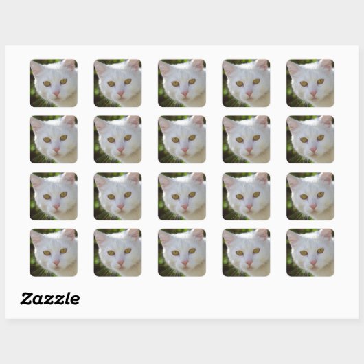Mooie witte kat vierkante sticker (Vel)