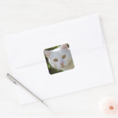 Mooie witte kat vierkante sticker (Envelop)