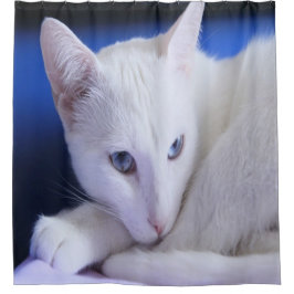 Mooie Witte Kat/Voeg een foto van je huisdier toe Douchegordijn