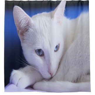 Mooie Witte Kat/Voeg een foto van je huisdier toe Douchegordijn