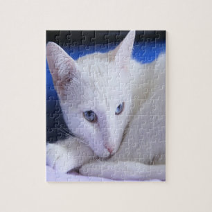 Mooie Witte Kat/Voeg een foto van je huisdier toe Legpuzzel