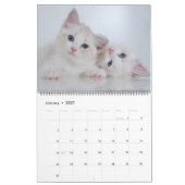 Mooie Witte Katten 2022 Kalender (Jan 2027)