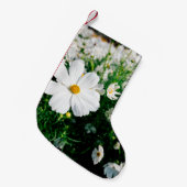 Mooie witte kosmos bloemen bloeien in tuinschildpa kleine kerstsok (Voorkant (Hangend))