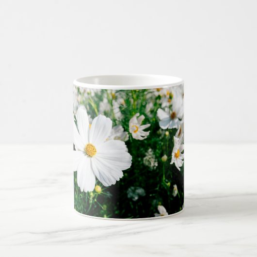 Mooie witte kosmos bloemen bloeien in tuinschildpa koffiemok (Center)
