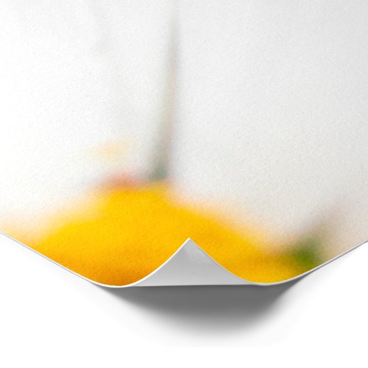 Mooie witte kosmos bloemen bloeien in tuinschildpa poster (Hoek)