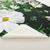 Mooie witte kosmos bloemen bloeien in tuinschildpa sherpa deken (3/4)