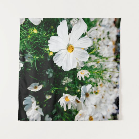 Mooie witte kosmos bloemen bloeien in tuinschildpa wandkleed (Voorkant (horizontaal))