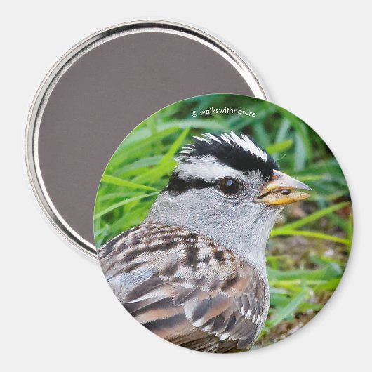 Mooie witte kruid-kruipen in de gras magneet (Voorkant / Achterkant)