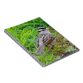 Mooie witte kruid-kruipen in de gras notitieboek (Rechterzijde)