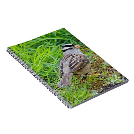 Mooie witte kruid-kruipen in de gras notitieboek (Rechterzijde)