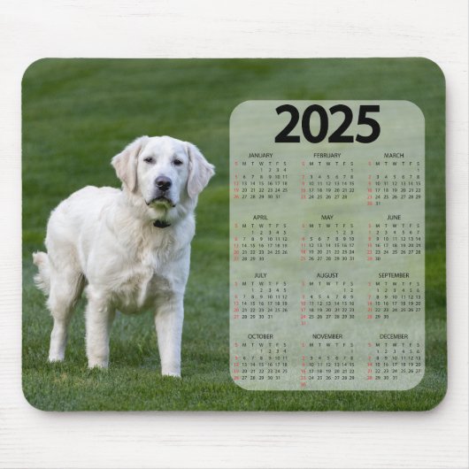 Mooie witte labrador 2025 hondenkalender muismat (Voorkant)