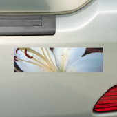 Mooie Witte Lelie Bumpersticker (Op auto)