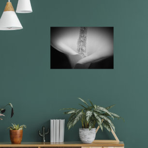 Mooie witte lelie zwart-wit foto poster