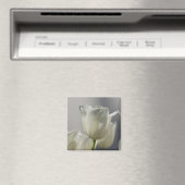Mooie Witte Lentetulpen Magneet (Insitu (Vaatwasser))