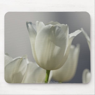 Mooie Witte Lentetulpen Muismat