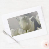 Mooie Witte Lentetulpen Rechthoekige Sticker (Envelop)