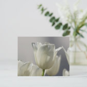 Mooie, witte lentetypes briefkaart (Staand voorkant)