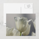 Mooie, witte lentetypes briefkaart (Voorkant / Achterkant)