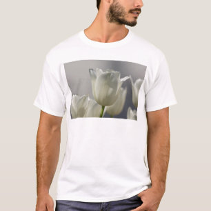 Mooie, witte lentetypes t-shirt