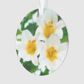 Mooie witte leugens - Lilium candidum Ornament (voorkant)