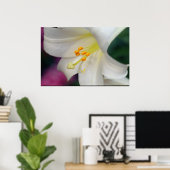 Mooie witte Lily Poster (Thuiskantoor)