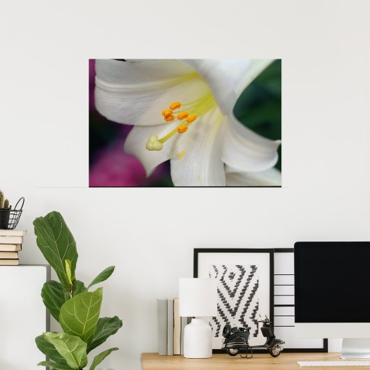 Mooie witte Lily Poster (Thuiskantoor)