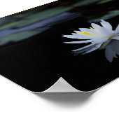 Mooie witte Lotus, Lake,Zen Poster (Hoek)