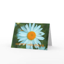 Mooie witte madeliefjes bloem fijne feestdagen