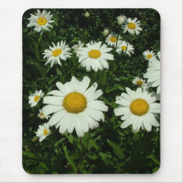 mooie witte madeliefjes bloemen. muismat